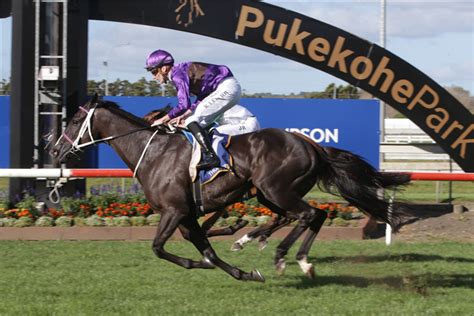 2024 Auckland Cup: Race History .